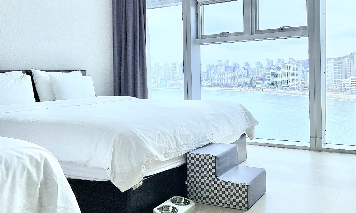 [펫동반]스위트오션 이미지